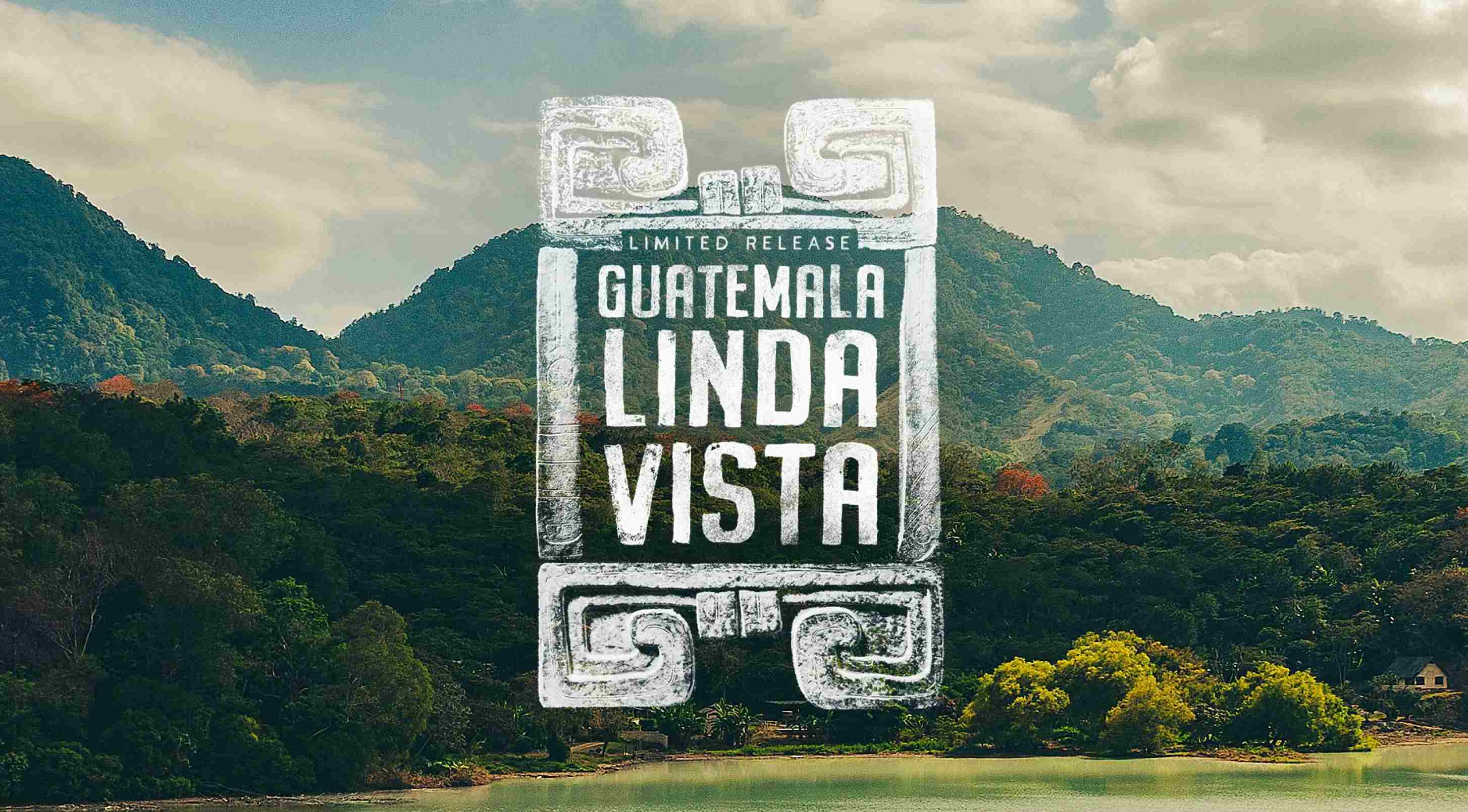 A scenic landscape poster showing mountains, forest, and a lake under a cloudy sky, with a large stone-textured title overlay reading 'GUATEMALA LINDA VISTA' and smaller text 'LIMITED RELEASE'.